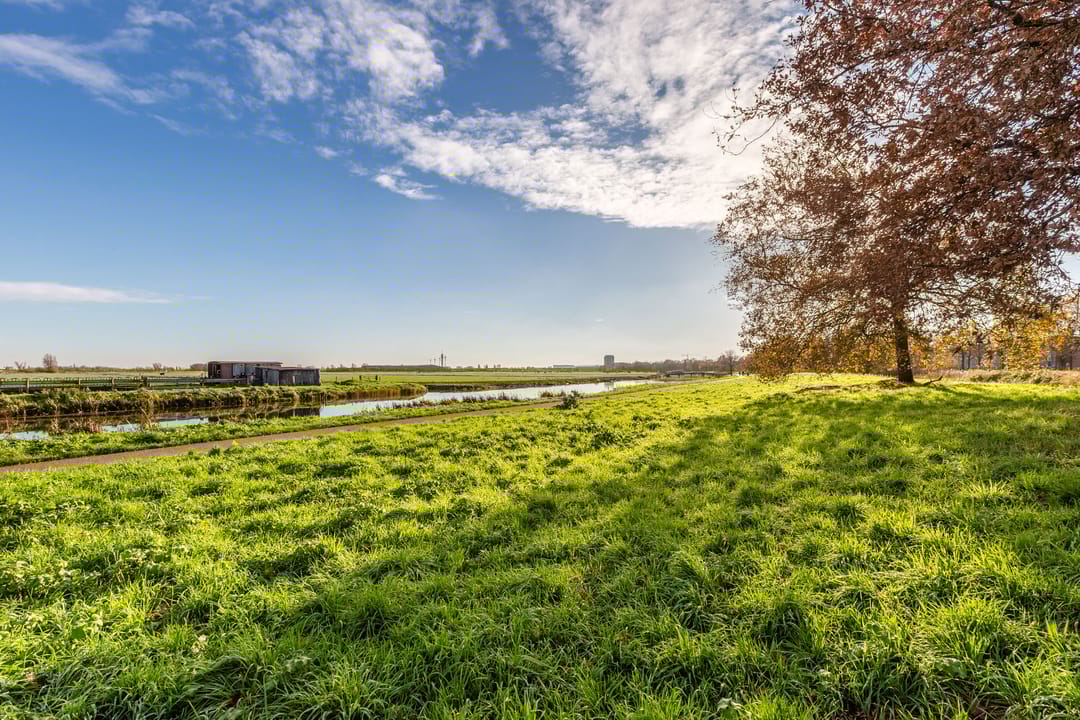 Foto 53 van Reigerstraat 144