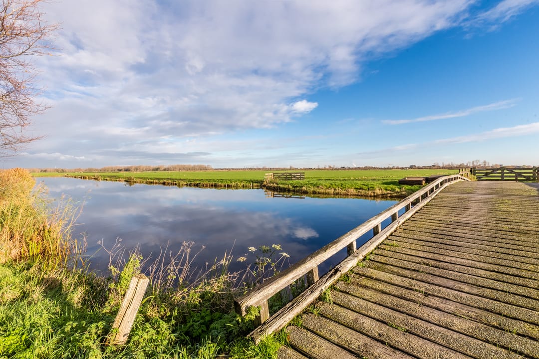 Foto 52 van Reigerstraat 144