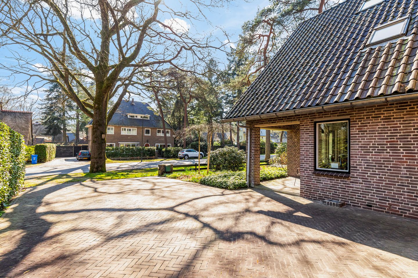 Foto 10 van Ribeslaan 18