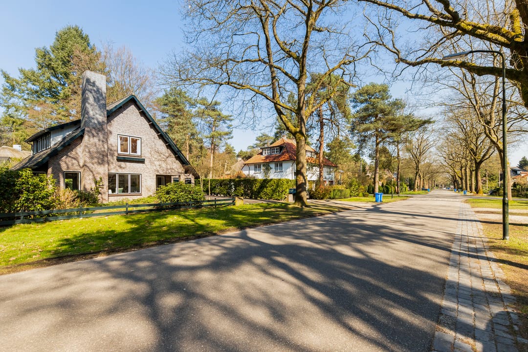 Foto 52 van Ribeslaan 18