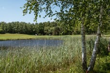 Afbeelding van Ofslag 5 - Derde foto