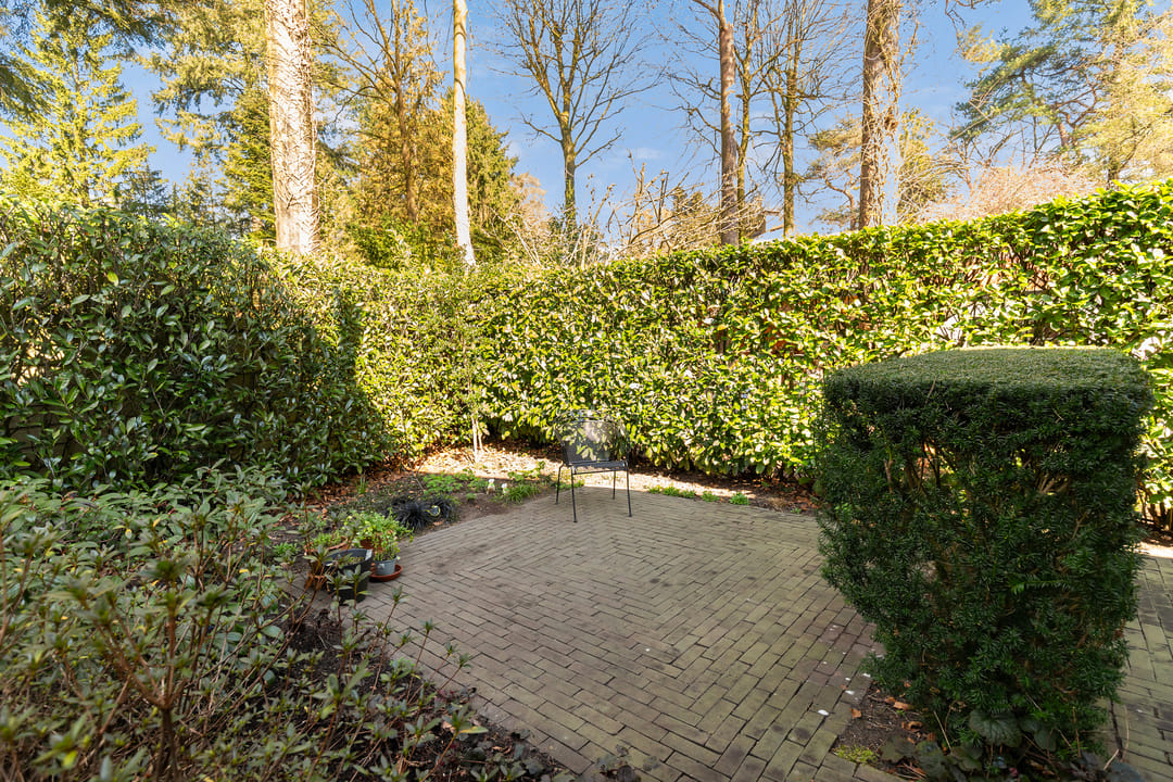 Foto 8 van Ribeslaan 18