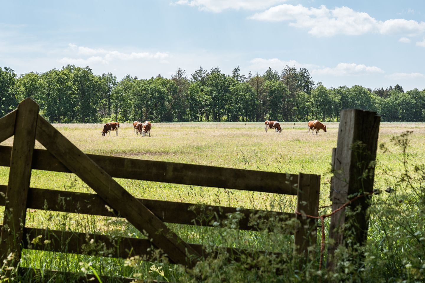 Foto 10 van Ofslag 5