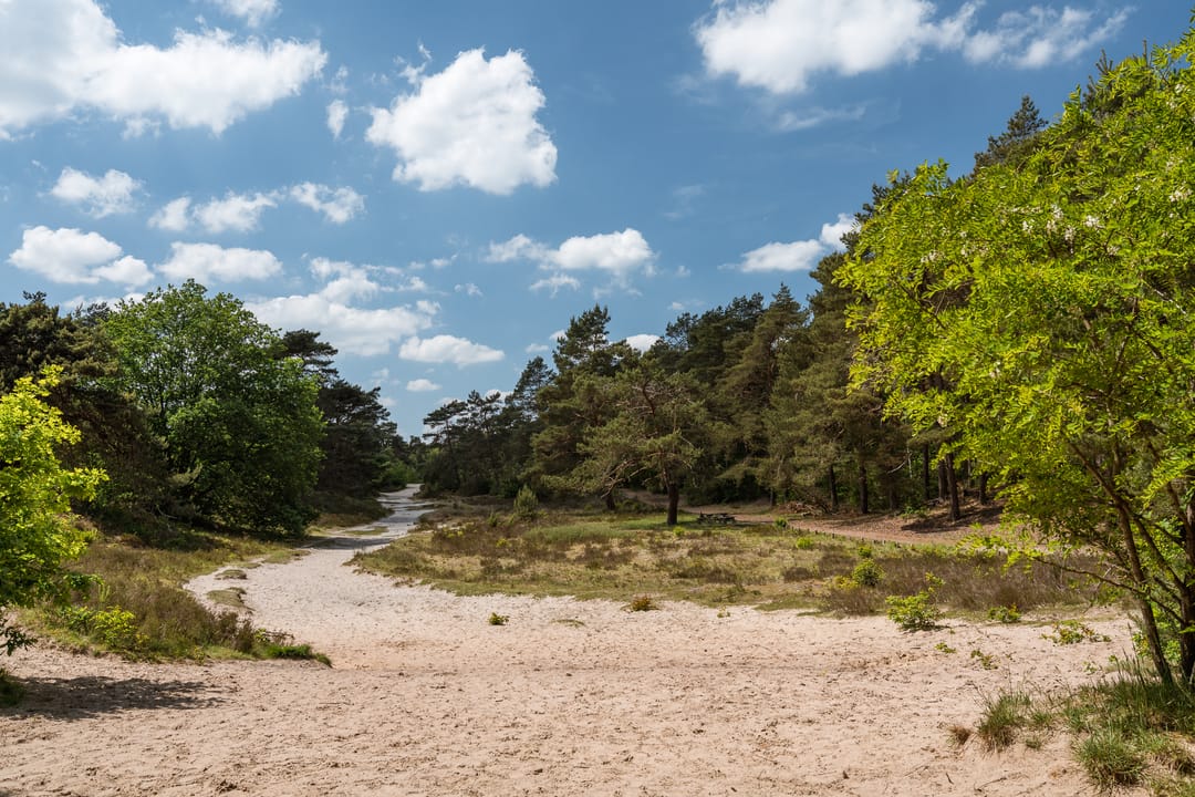 Foto 13 van Ofslag 5