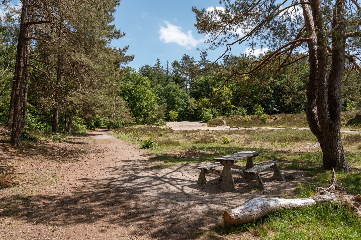 Foto 14 van Ofslag 5