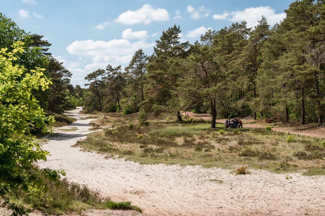 Foto 17 van Ofslag 5