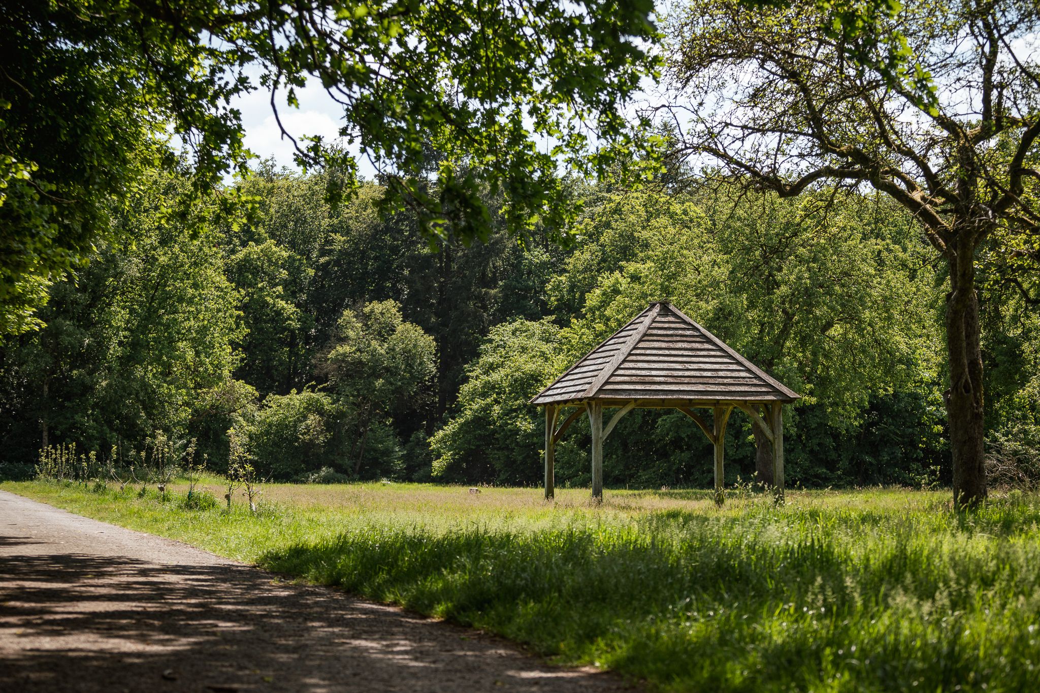 Foto 18 van Ofslag 5