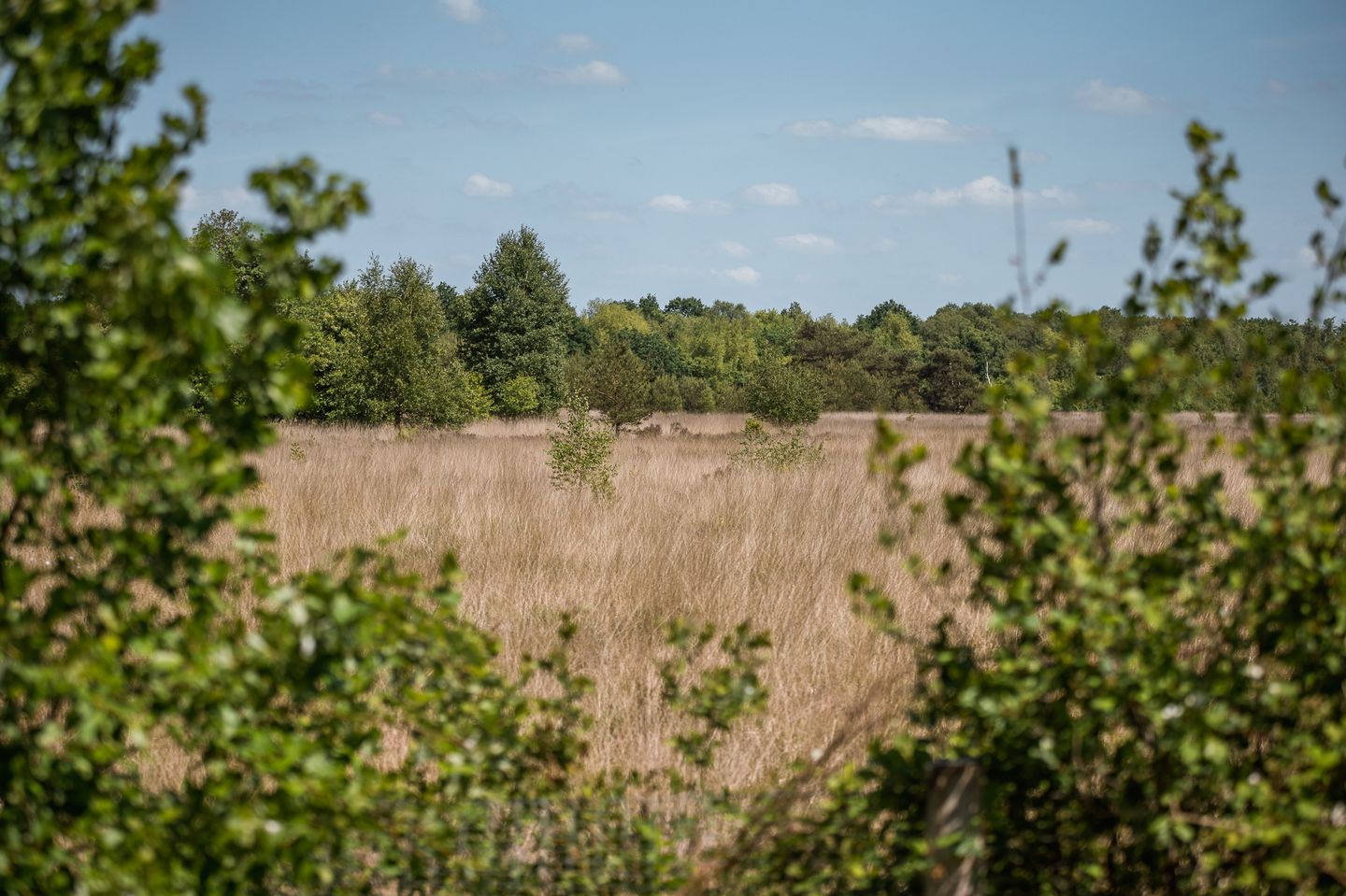 Foto 19 van Ofslag 5