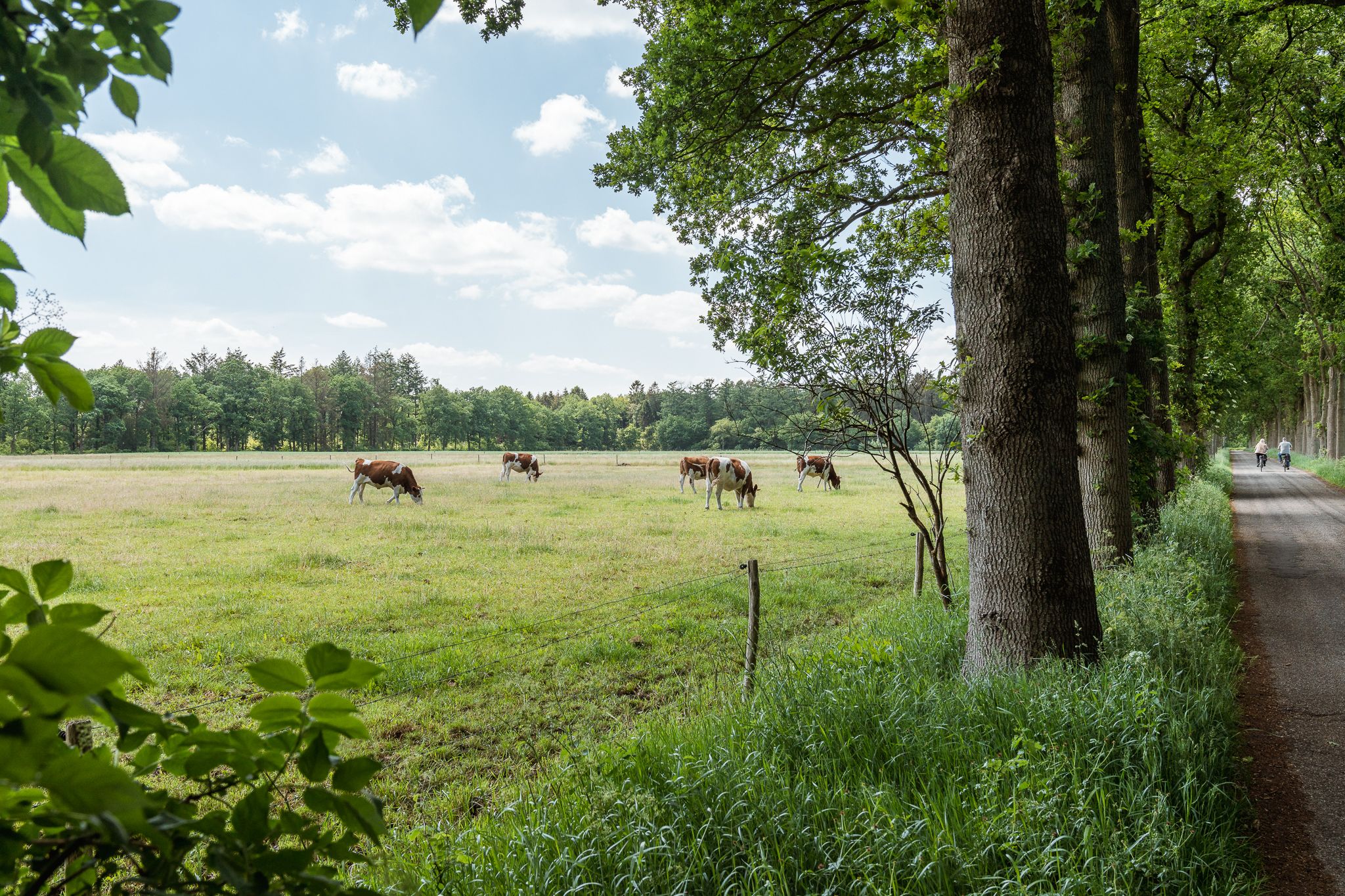 Foto 12 van Ofslag 5