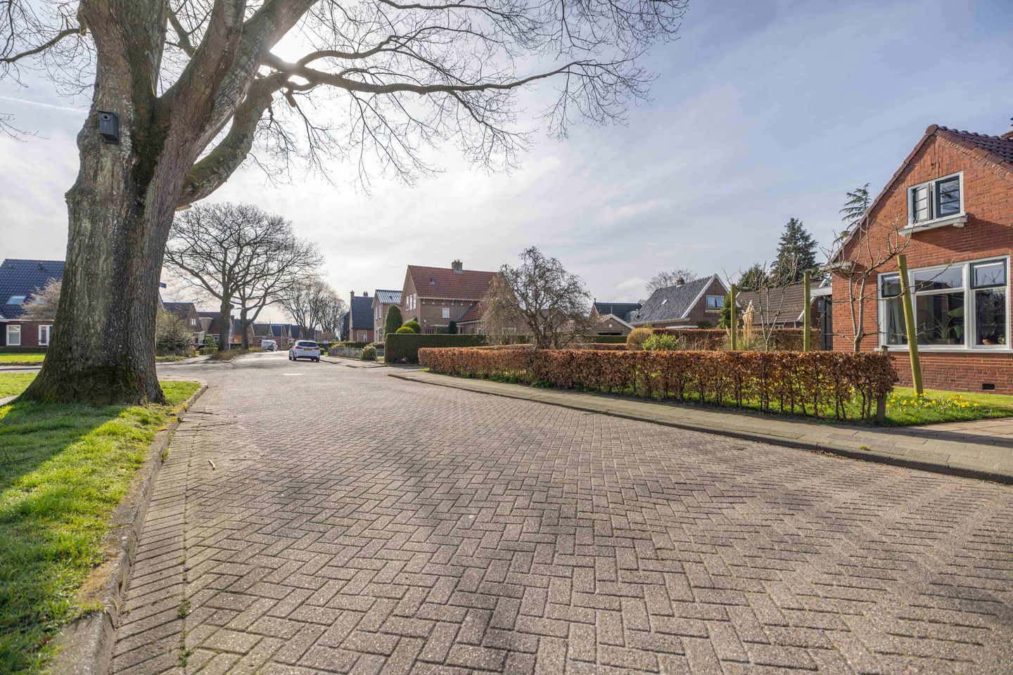 Foto 49 van Nijewei 53