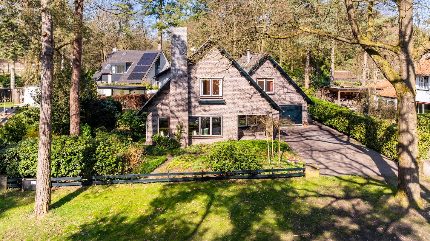 Foto 55 van Ribeslaan 18