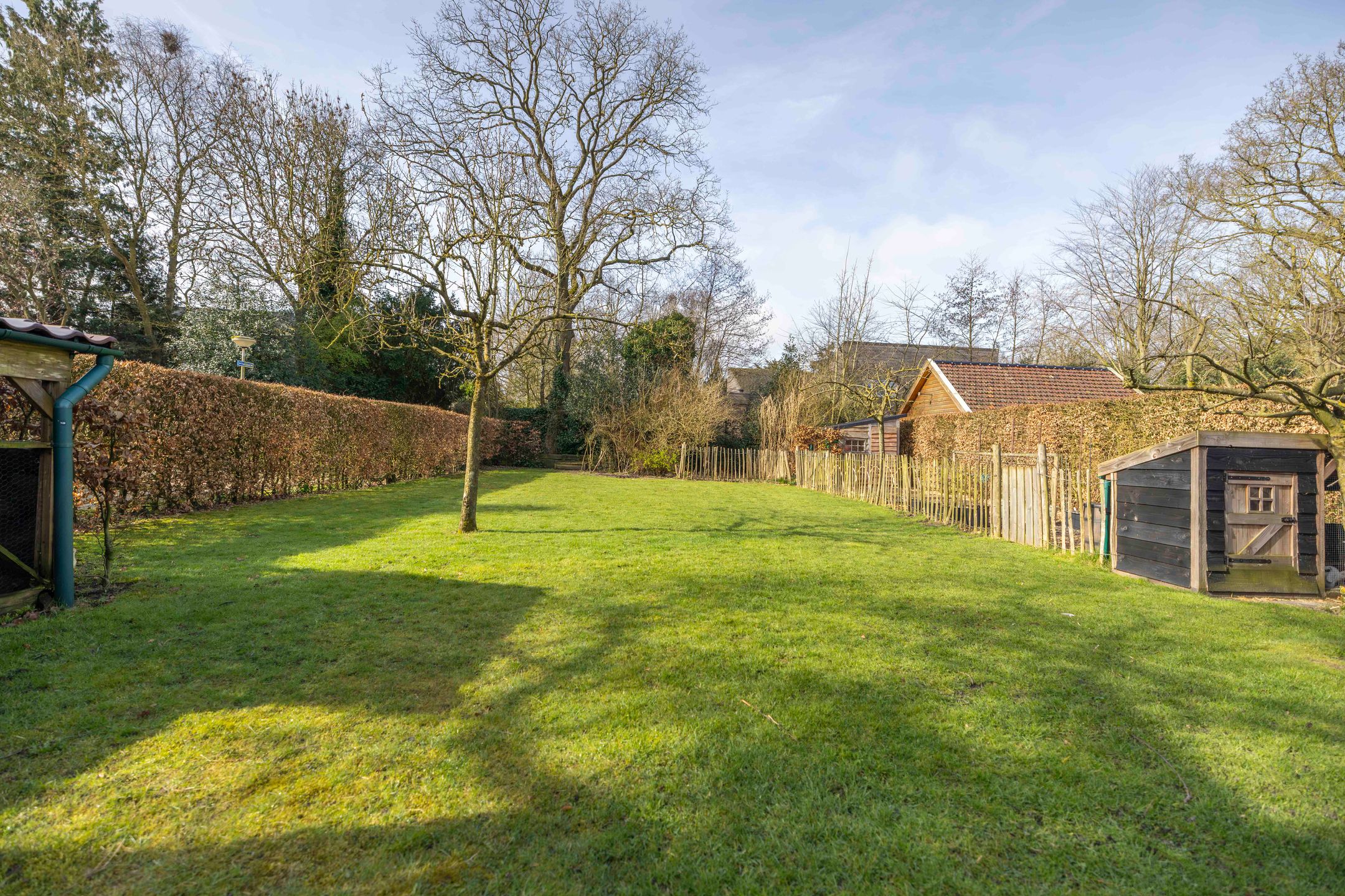 Foto 36 van Nijewei 53