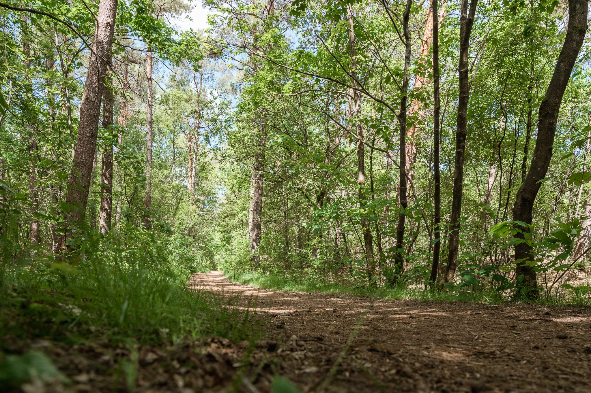 Foto 15 van Ofslag 5