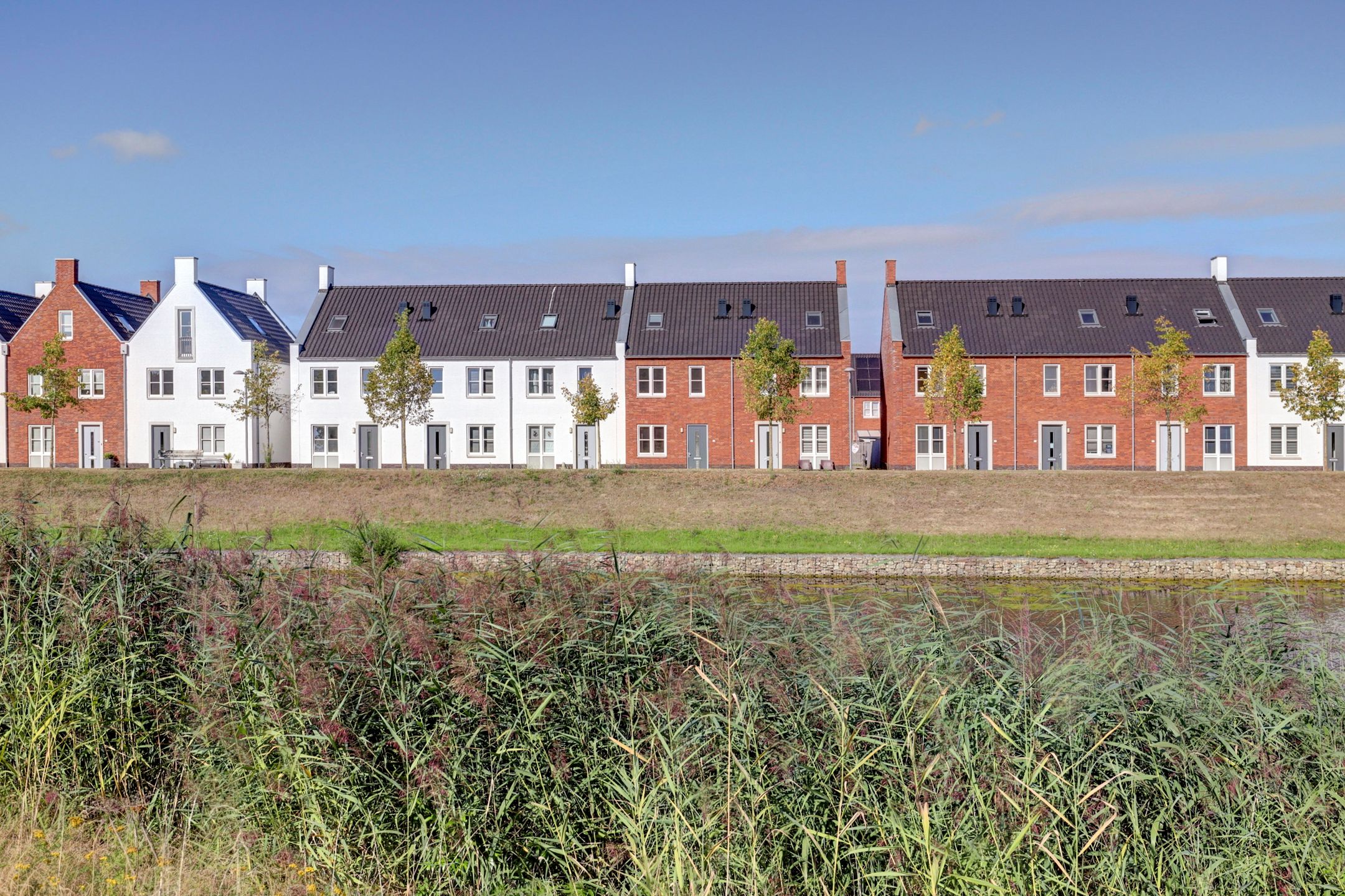 Foto 36 van Silenus 15