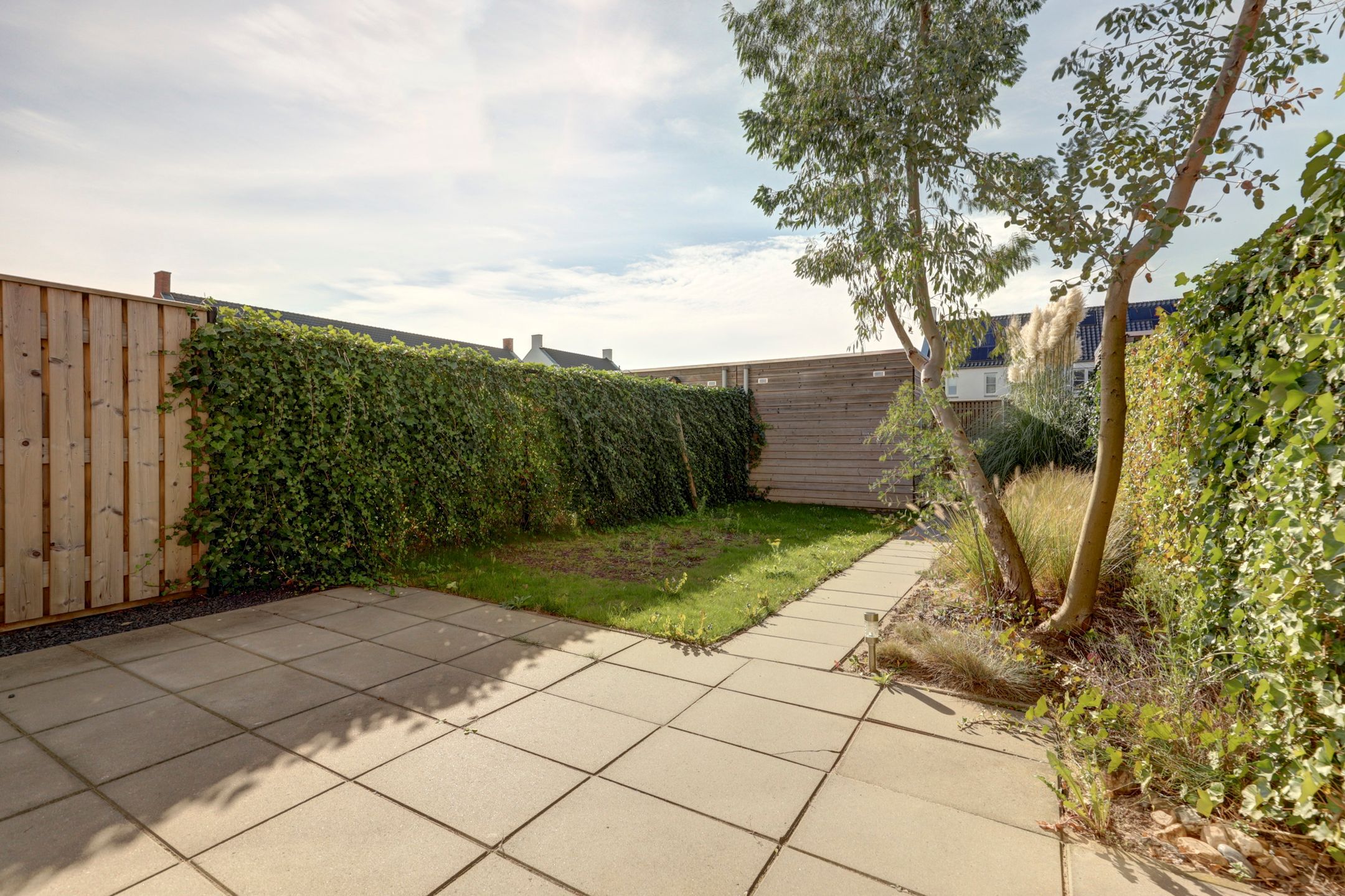 Foto 39 van Silenus 15