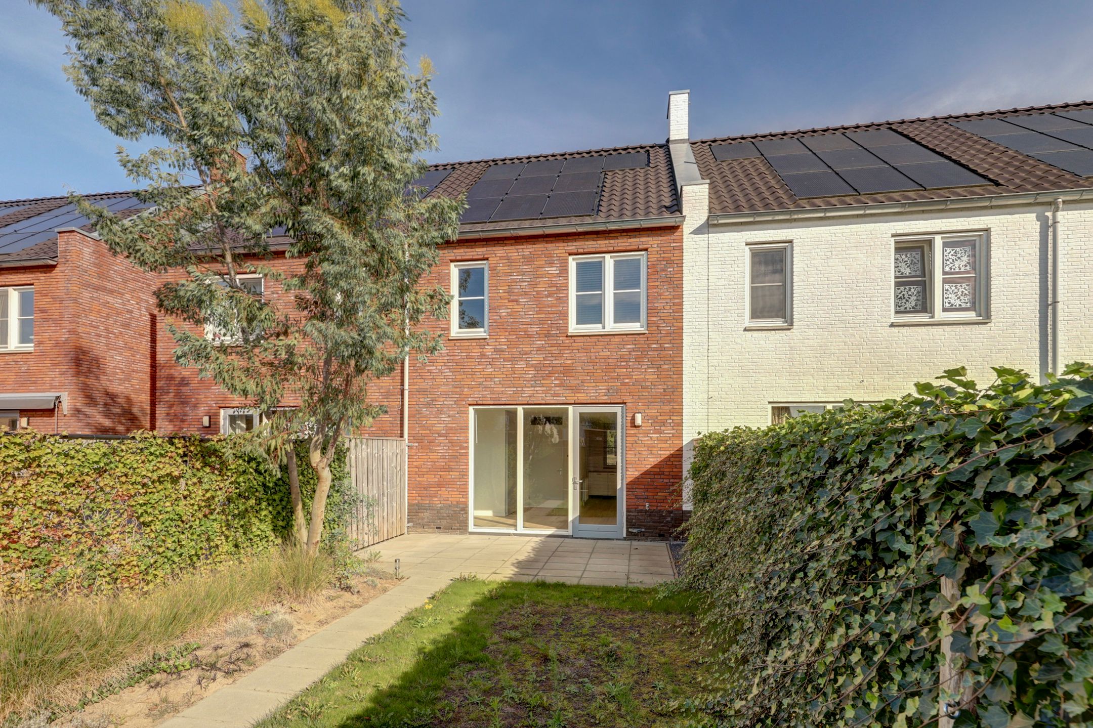 Foto 42 van Silenus 15