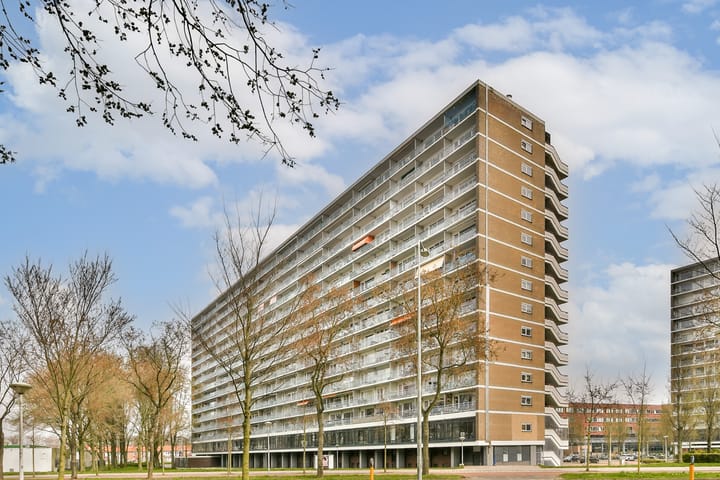 Burgemeester Hogguerstraat 963 main image