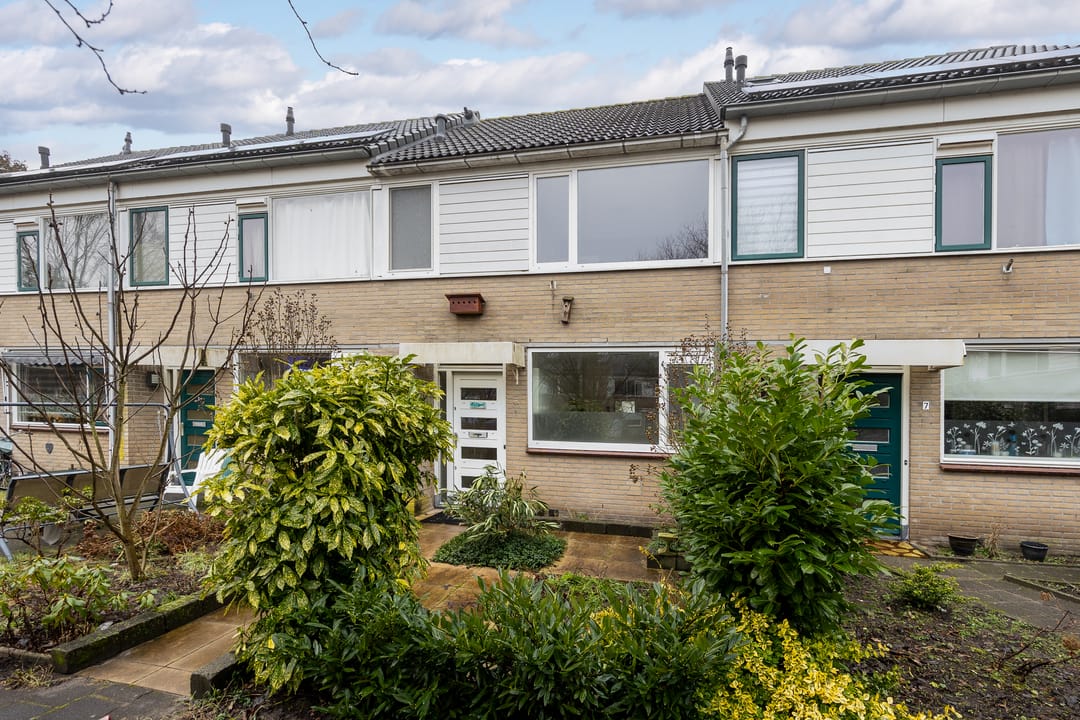 Foto 2 van Walstro 5