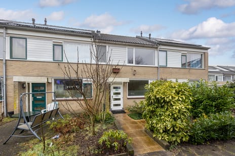 undefined main image
