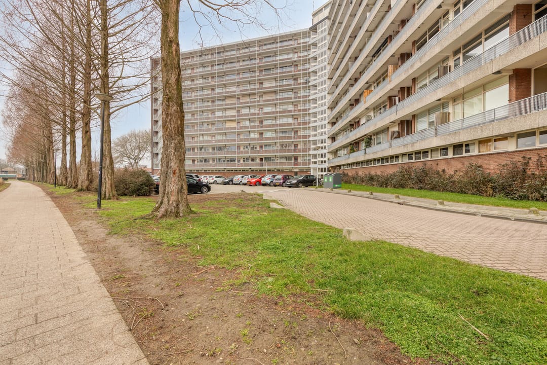 Photo 28 of Vrijheer van Eslaan 461