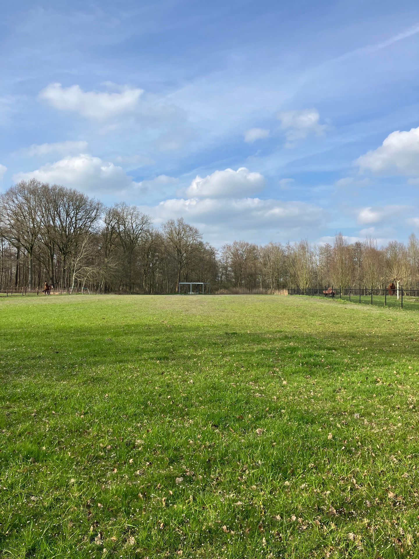 Bekijk foto 2 van Lage Kuilen