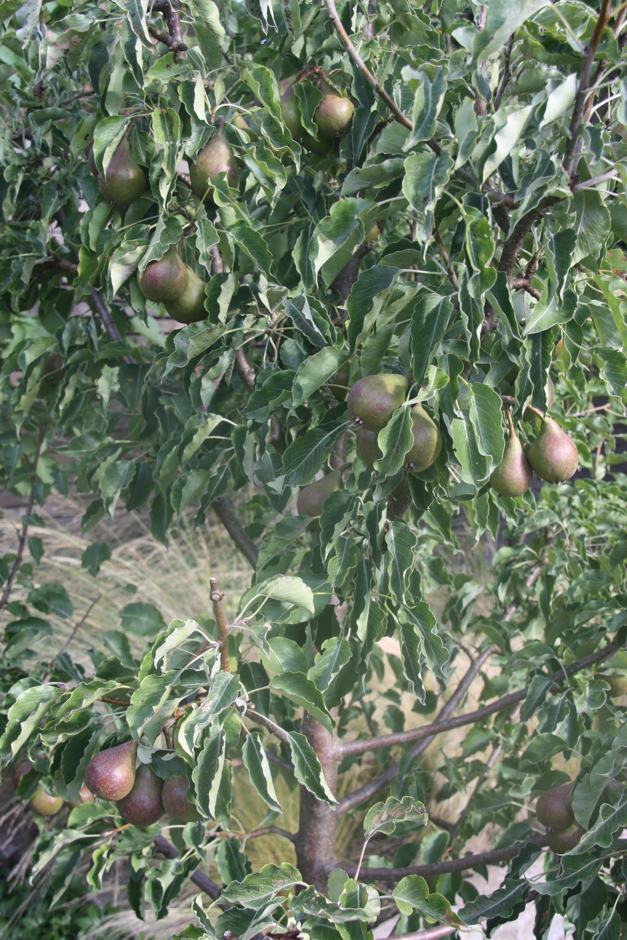 Foto 33 van Hoge Vierschaar 7