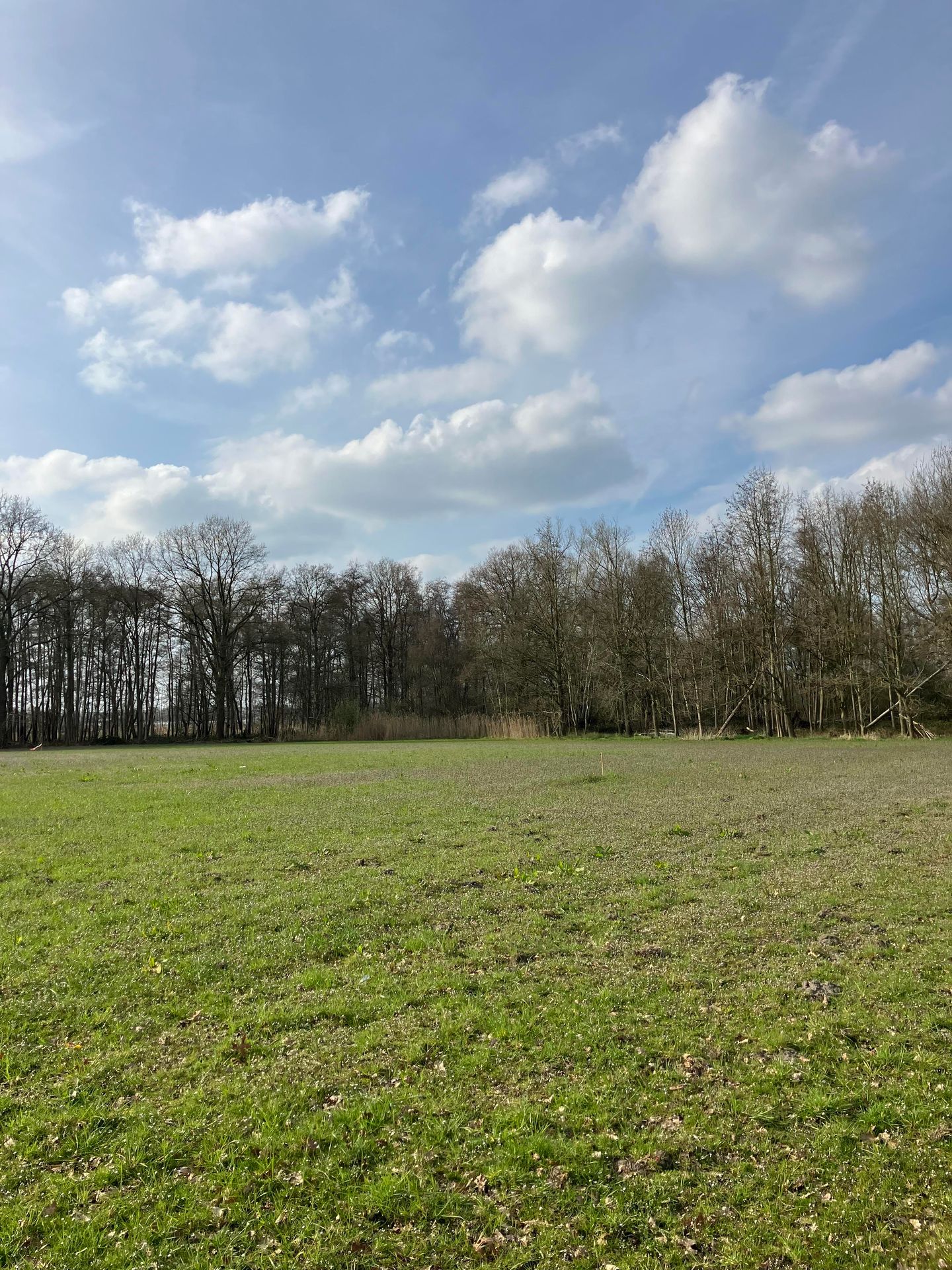 Lage Kuilen - Nederweert - Afbeelding 7