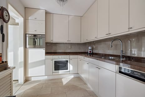 Thomas Moredreef 20 secondary image