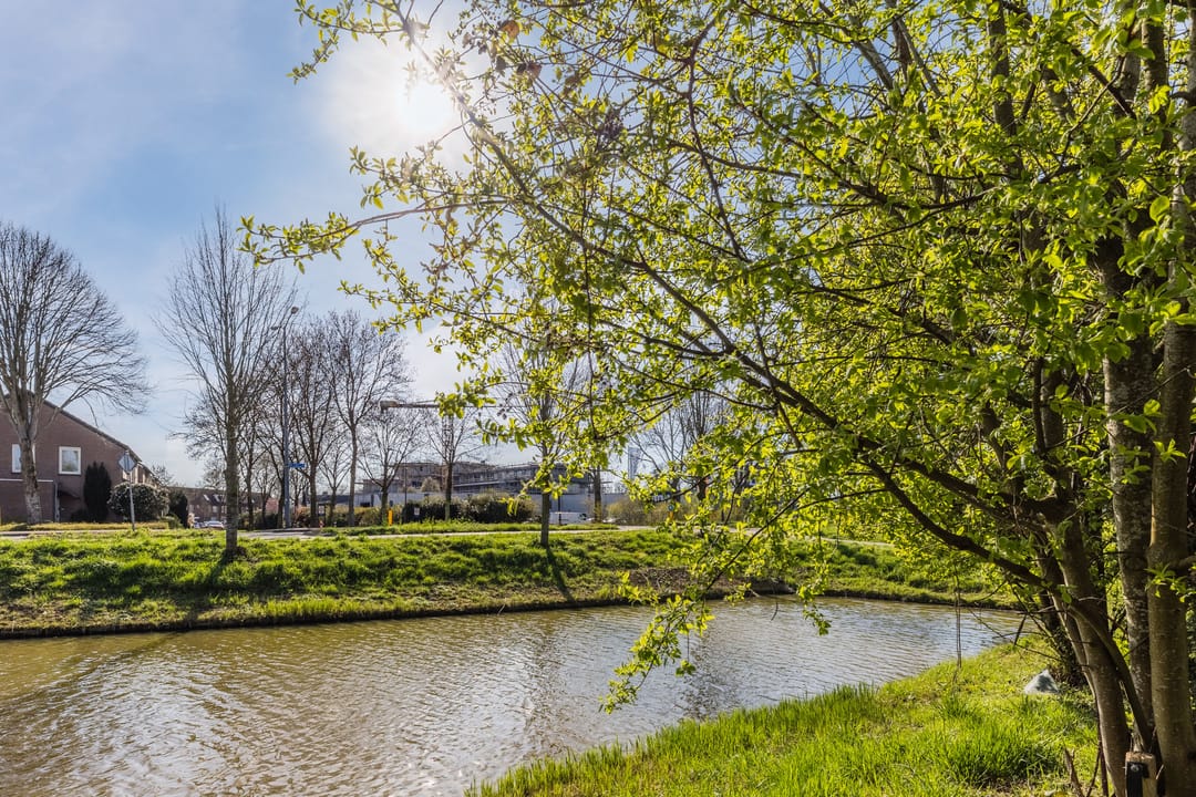 Photo 43 of Prinsendam 66