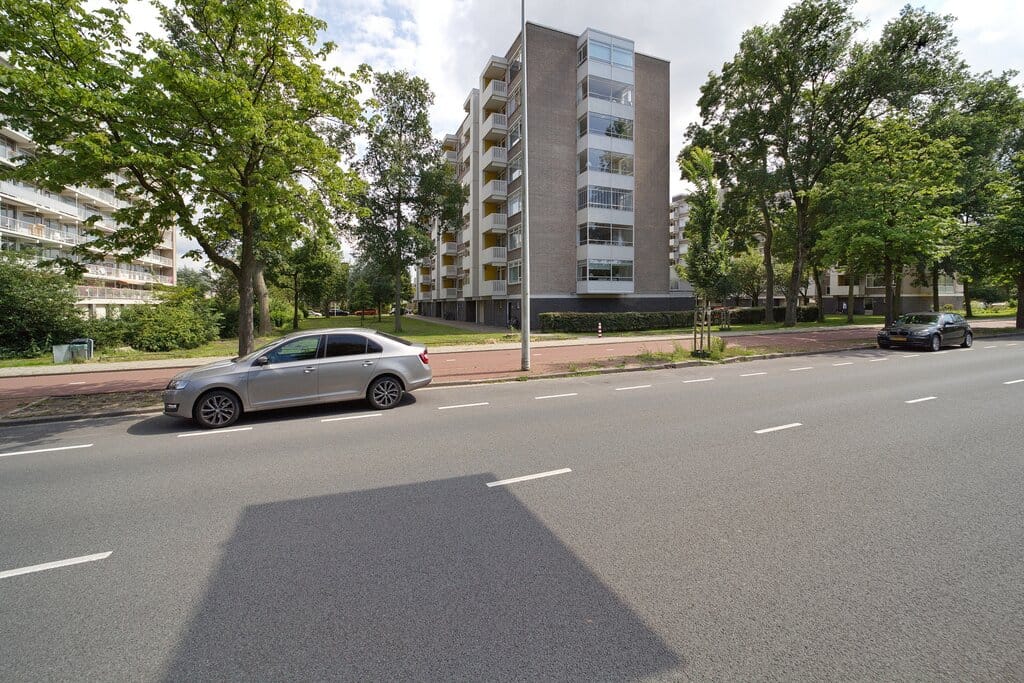 Foto 28 van Suzannaland 212