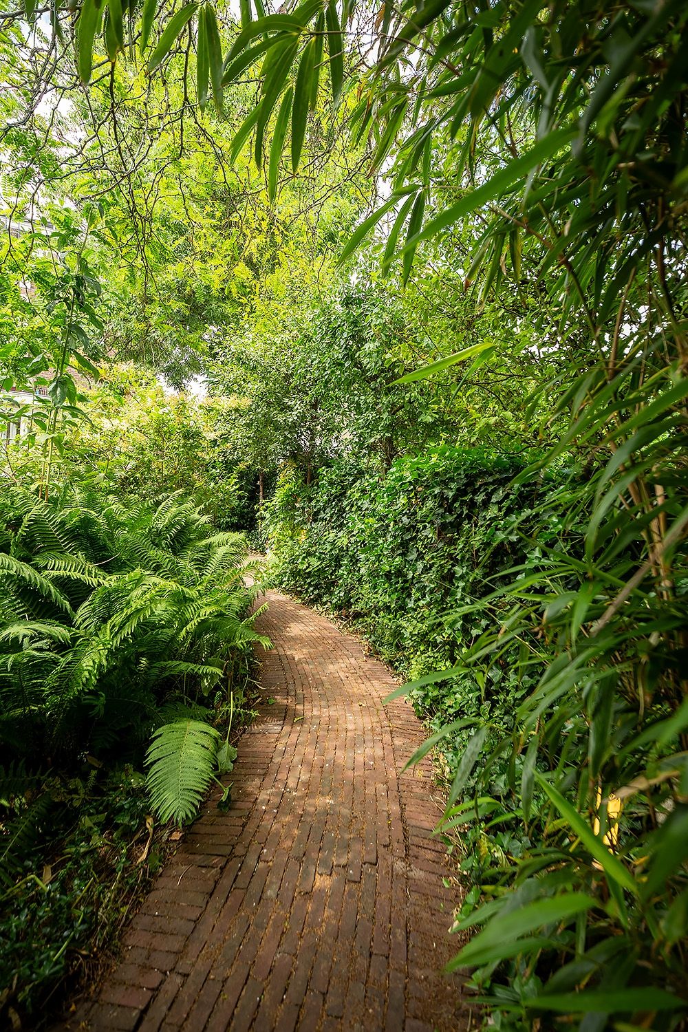 Foto 58 van van Beverninghlaan 36