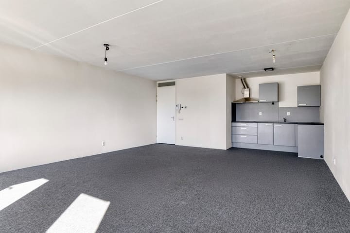 Photo 3 of Ir. Smedingplein 29