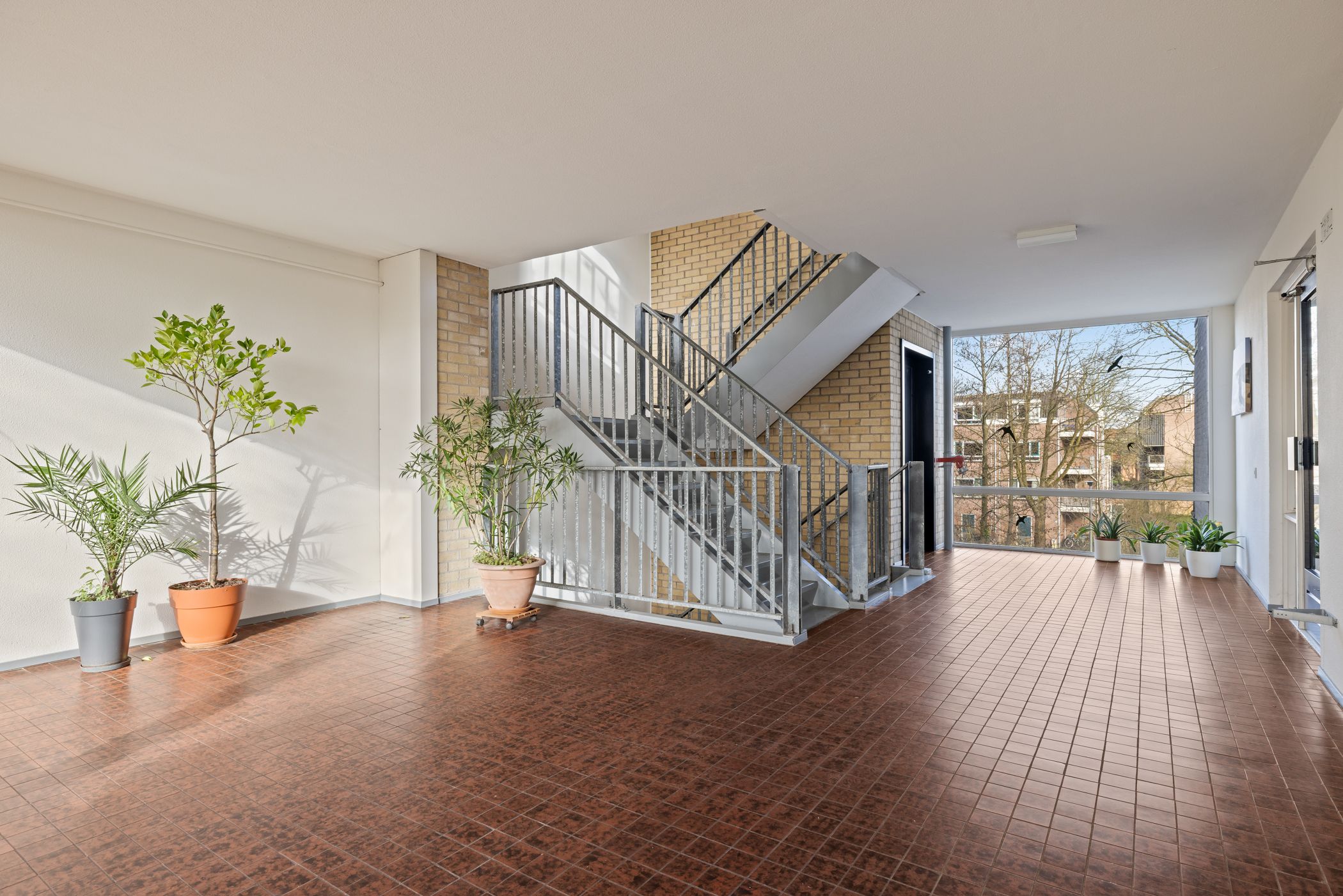 Photo 48 of Apennijnen 47