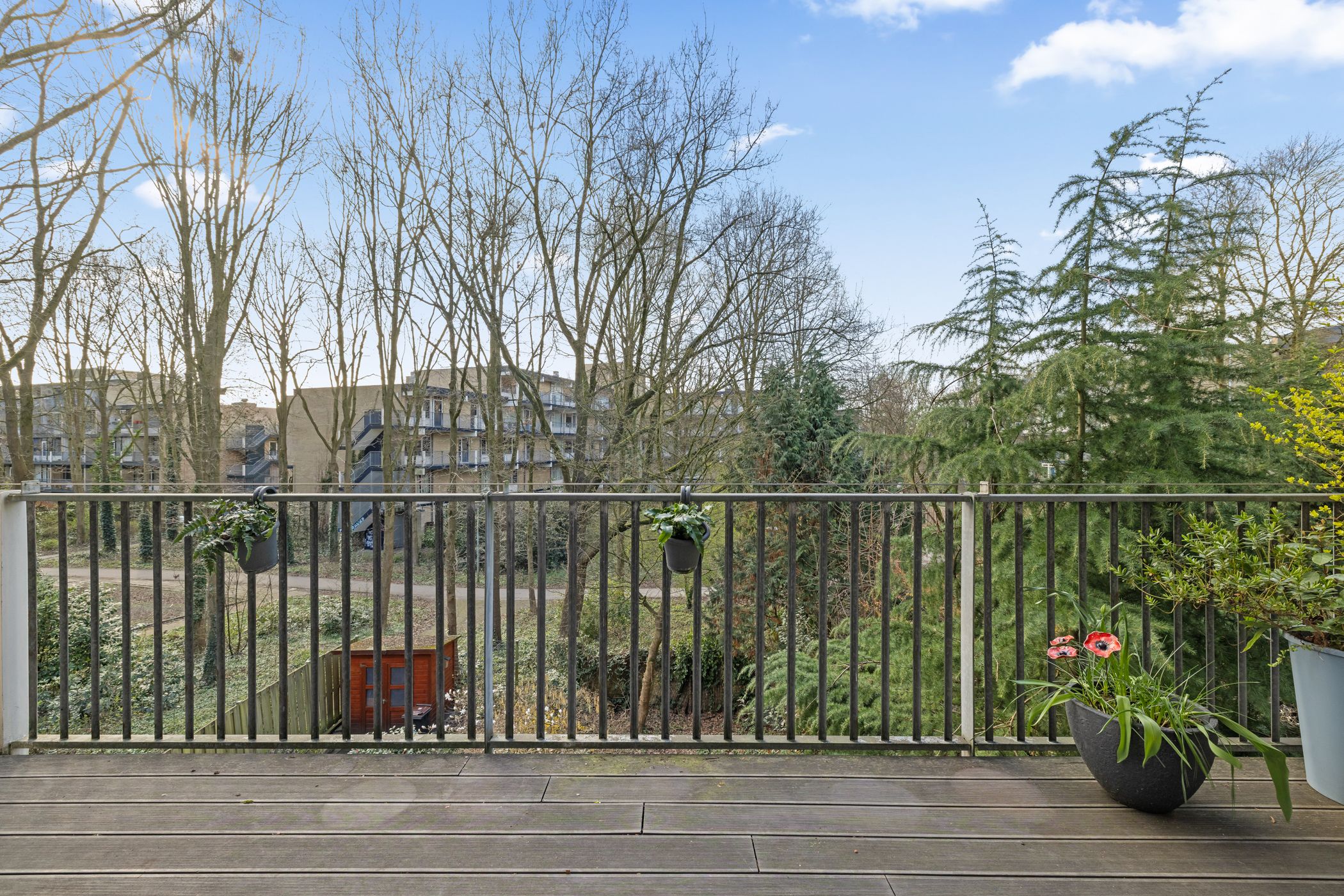 Photo 30 of Apennijnen 47