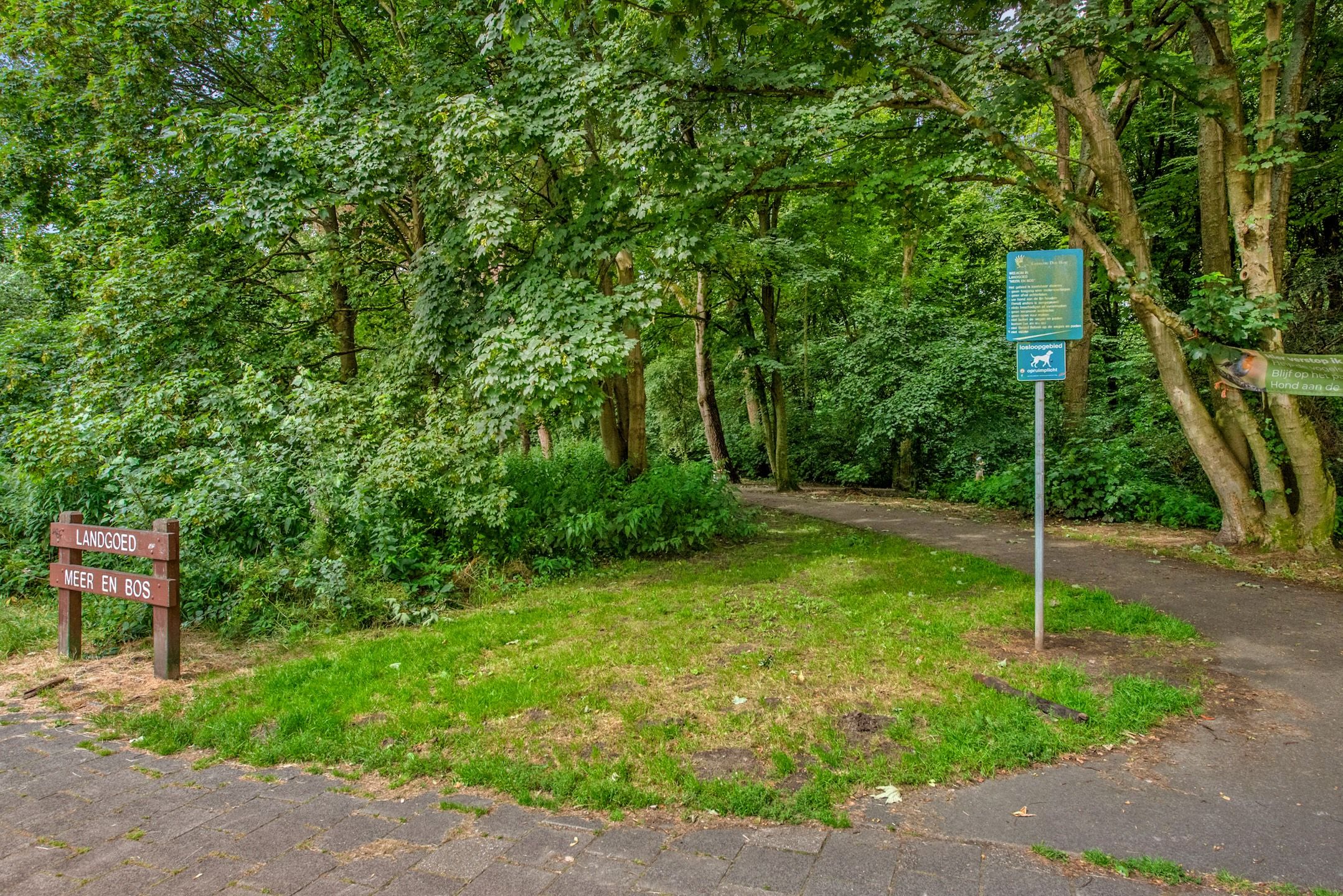 Foto 54 van Buitenklingen 53