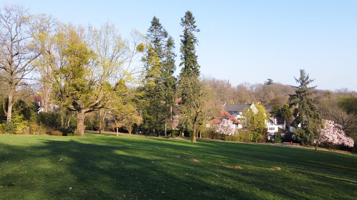 Foto 3 van Molenberglaan 81