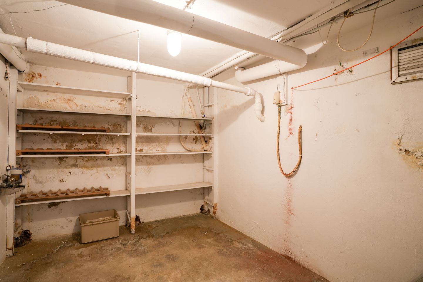 Foto 44 van Molenberglaan 81