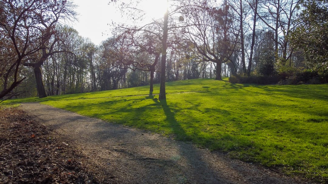 Foto 91 van Molenberglaan 81