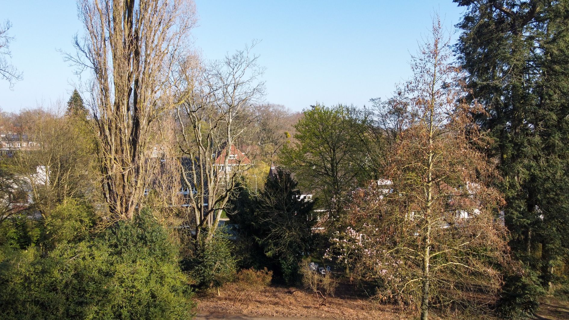 Foto 69 van Molenberglaan 81