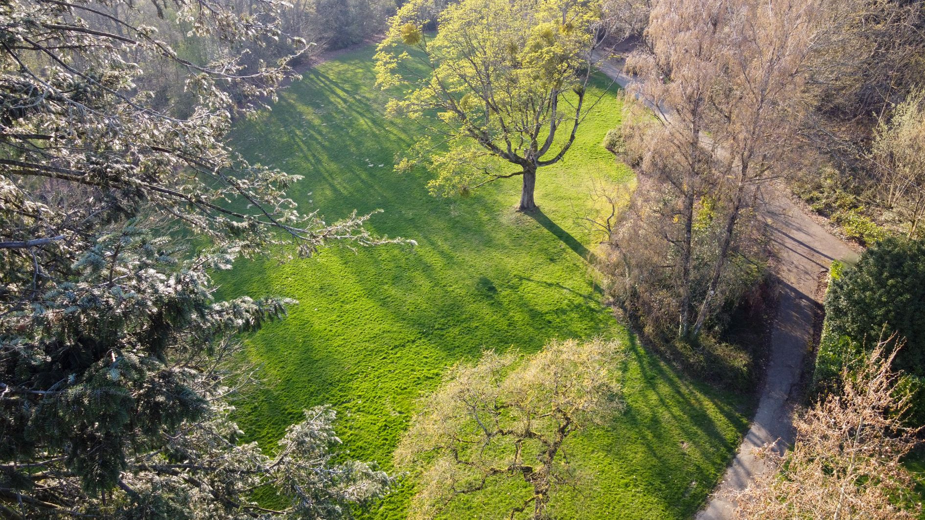 Foto 72 van Molenberglaan 81