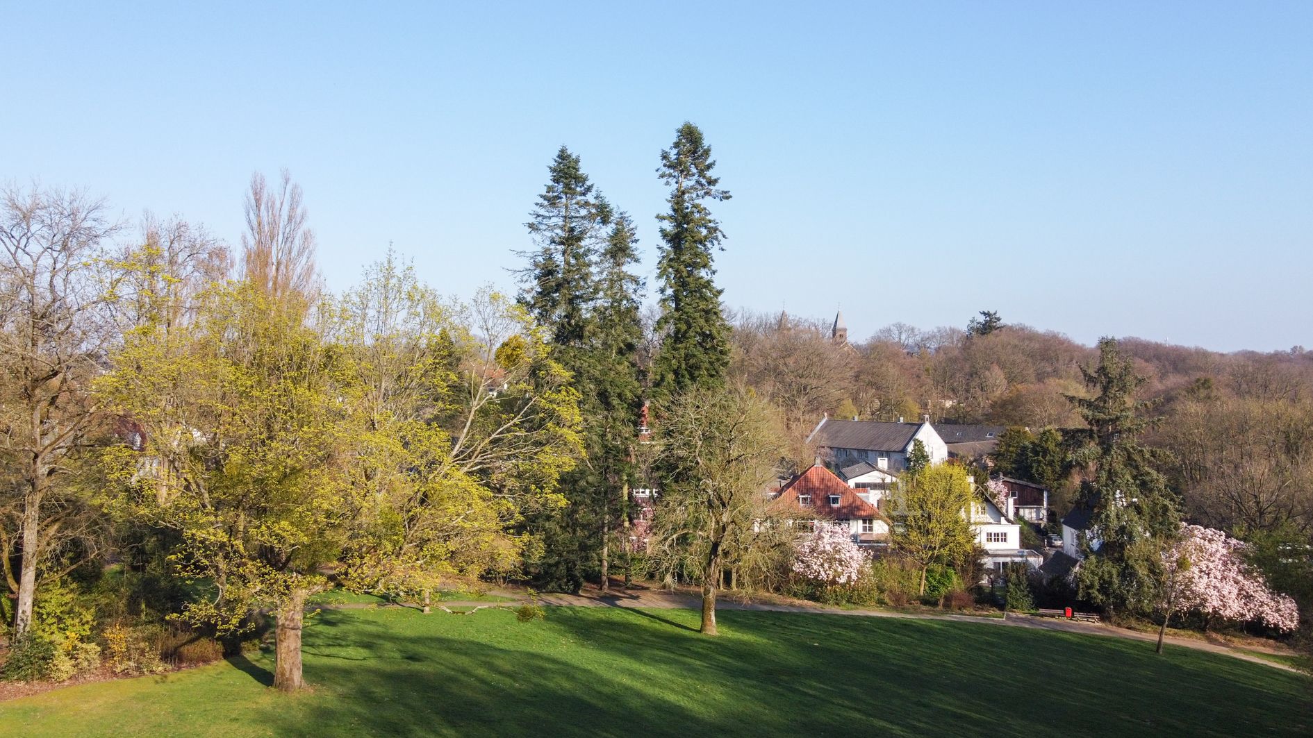 Foto 75 van Molenberglaan 81