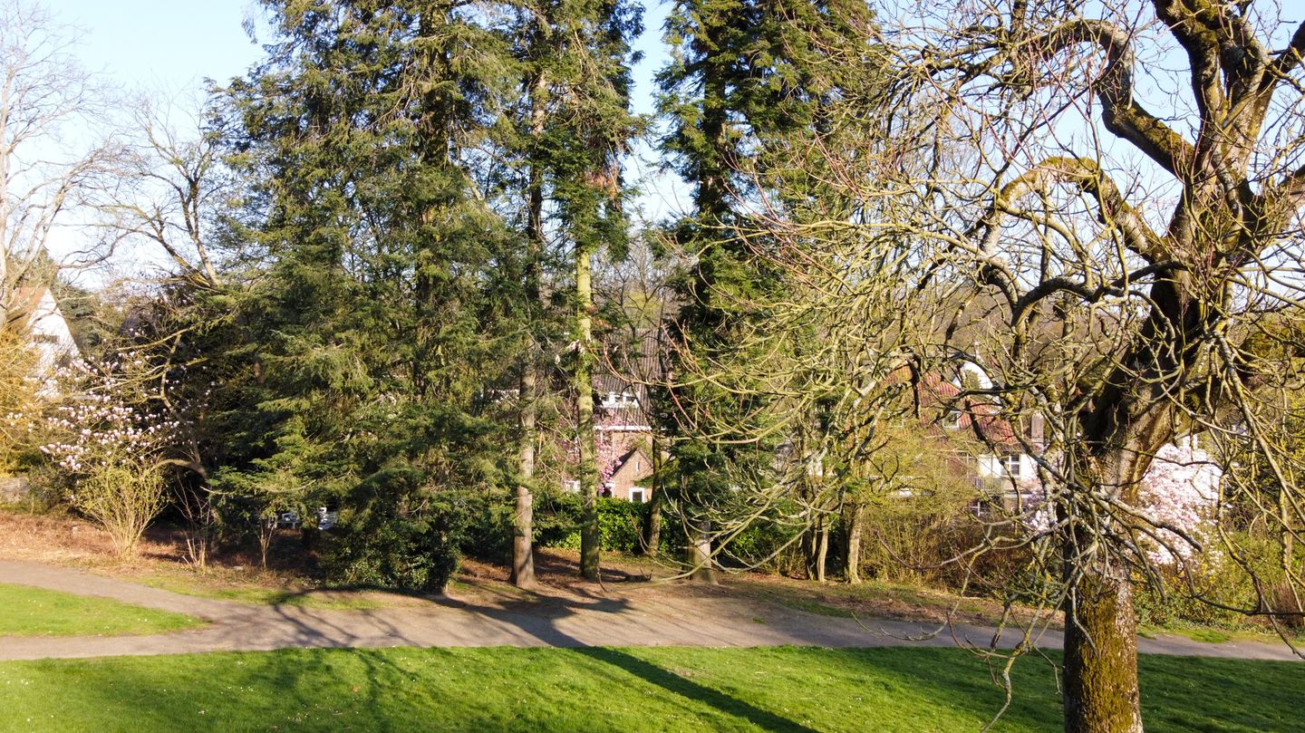 Foto 80 van Molenberglaan 81