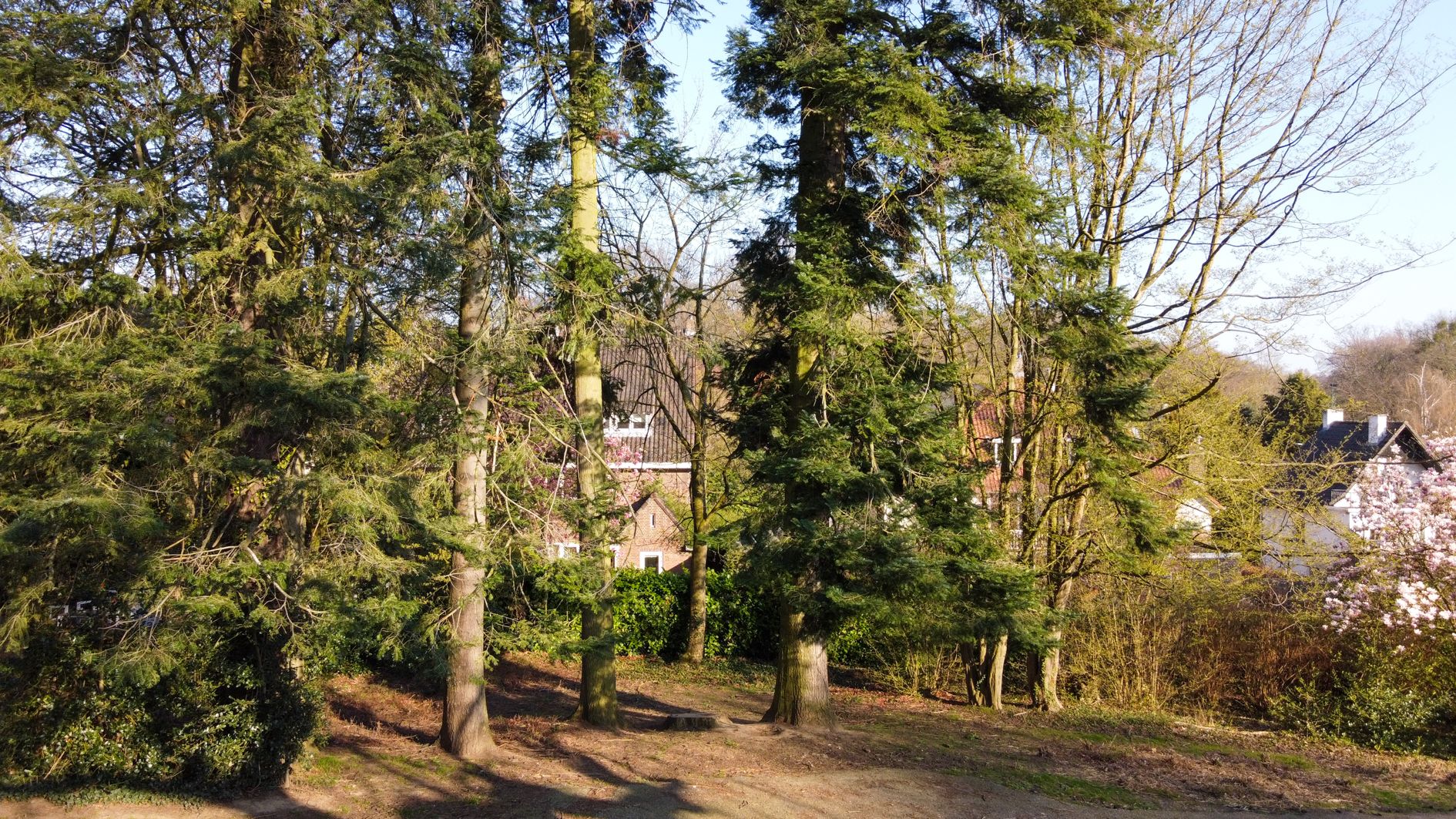 Foto 84 van Molenberglaan 81