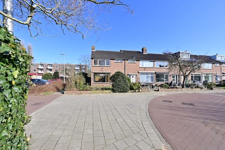 undefined main image
