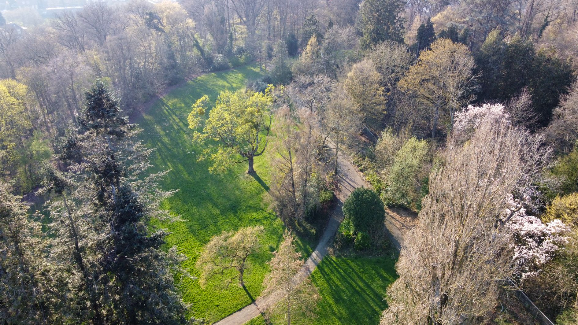 Foto 87 van Molenberglaan 81