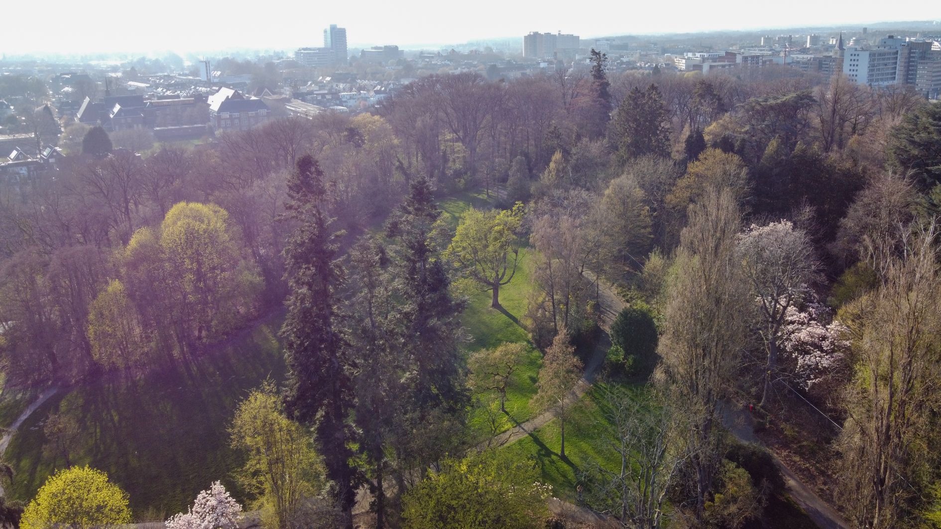 Foto 90 van Molenberglaan 81