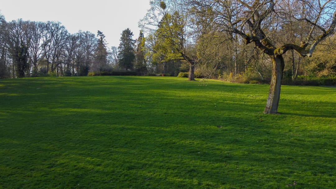 Foto 92 van Molenberglaan 81