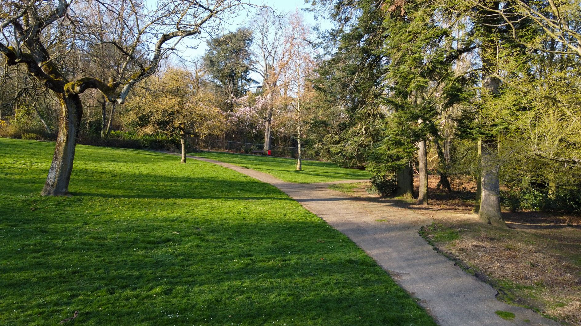 Foto 93 van Molenberglaan 81