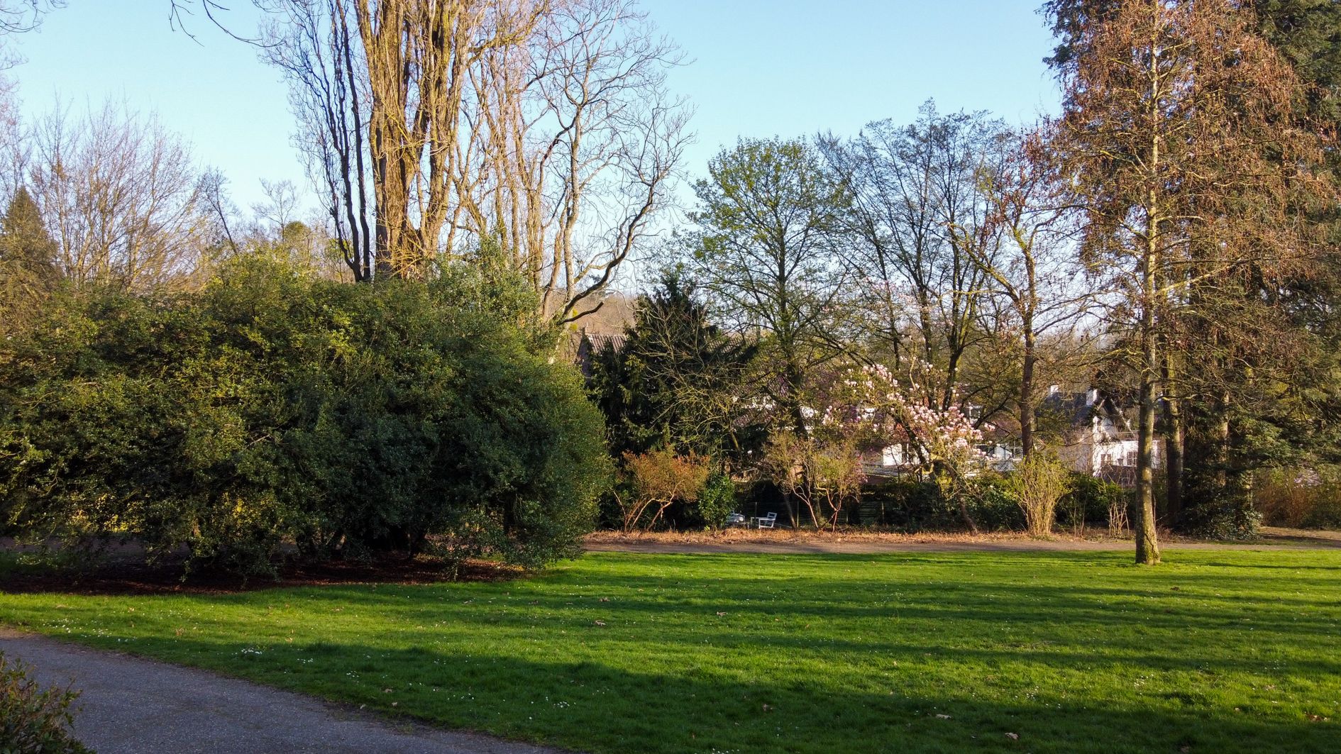 Foto 96 van Molenberglaan 81