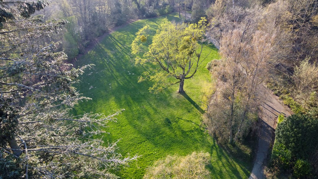 Foto 73 van Molenberglaan 81